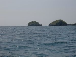 亀島やワニ島